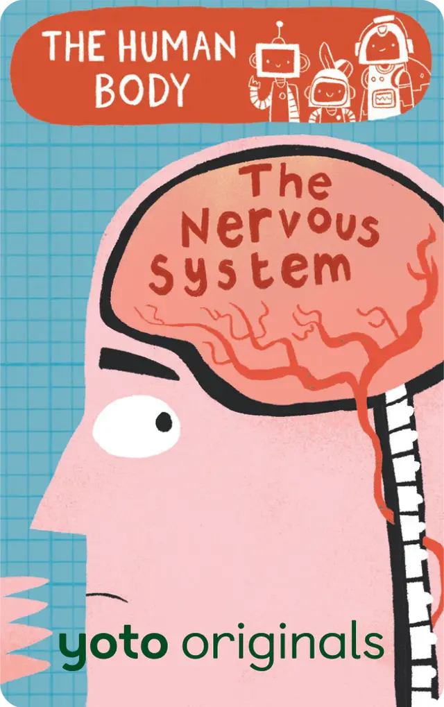 BrainBots: The Human Body