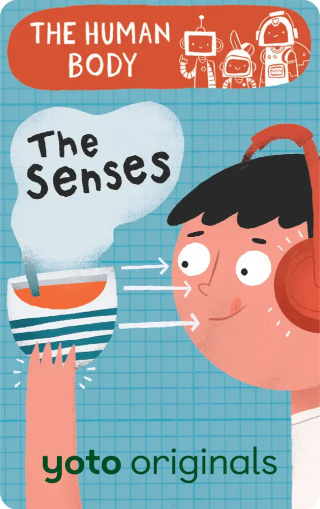 BrainBots: The Human Body